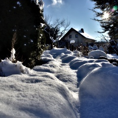 Verschneiter Gartenweg